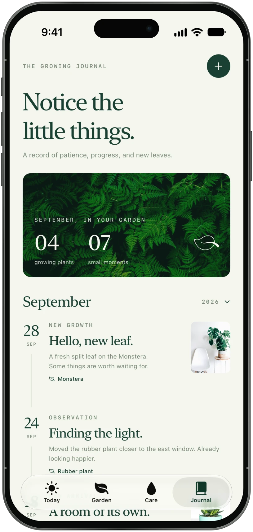 Canopy — Noticing growth